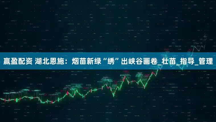赢盈配资 湖北恩施：烟苗新绿“绣”出峡谷画卷_壮苗_指导_管理