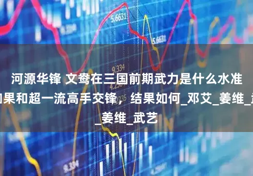 河源华锋 文鸯在三国前期武力是什么水准，如果和超一流高手交锋，结果如何_邓艾_姜维_武艺