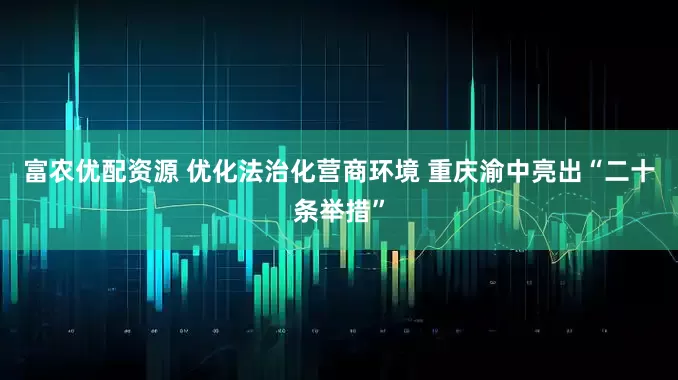富农优配资源 优化法治化营商环境 重庆渝中亮出“二十条举措”