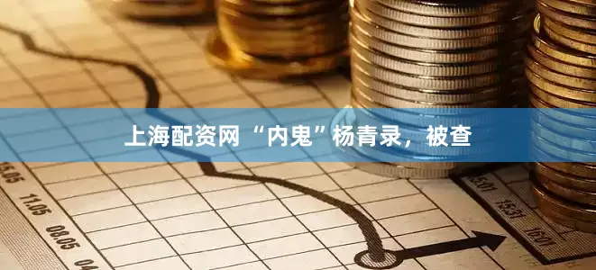 上海配资网 “内鬼”杨青录，被查