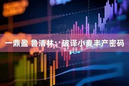 一鼎盈 鲁清林：破译小麦丰产密码